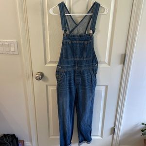Free people overalls